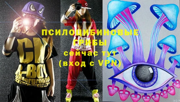 ешки Алзамай