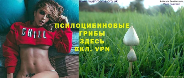 ешки Алзамай